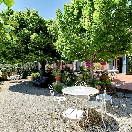 Civade Verde * Cassis